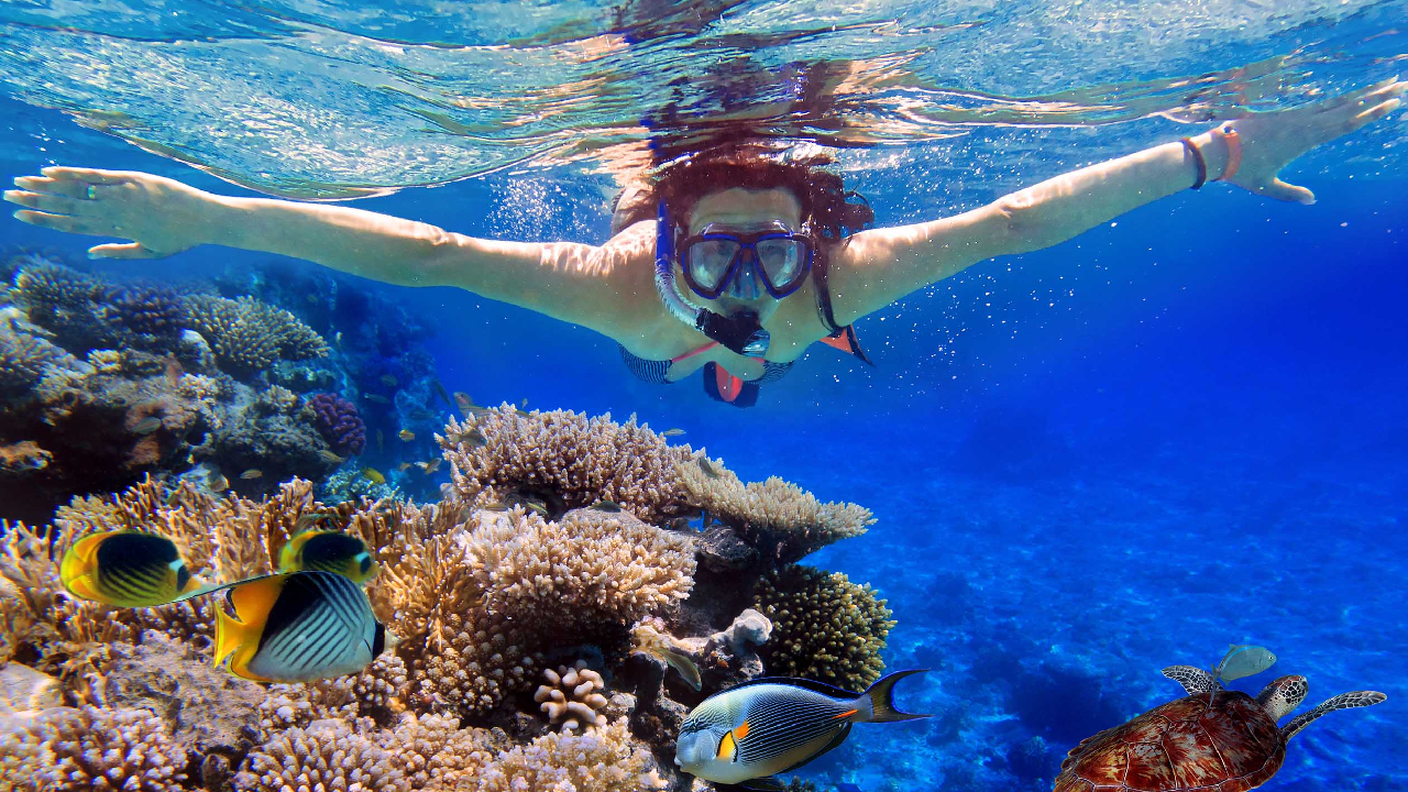 Explore Nusa Penida Island: Snorkeling Paradise Awaiting Your Adventure!
