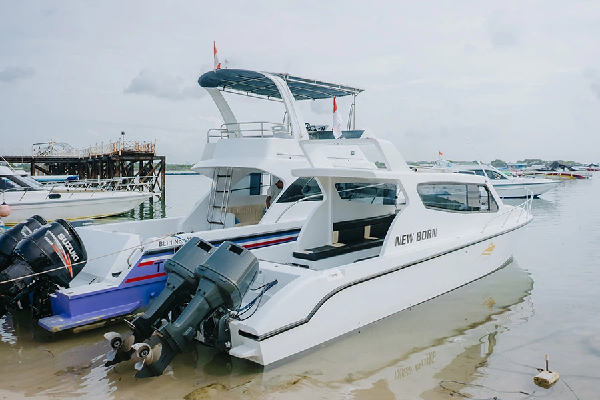 new-born-yacht