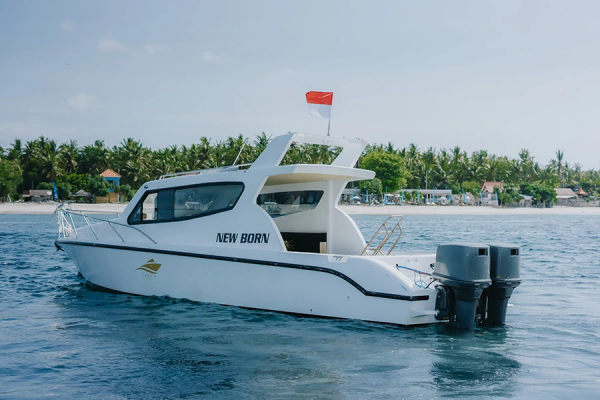 new-born-yacht(5)