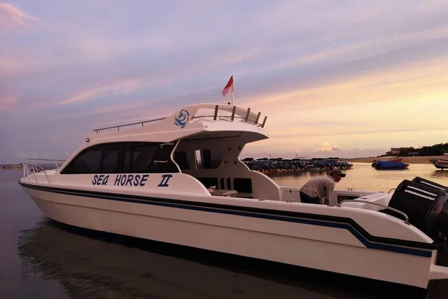 sea-horse-II-yacht